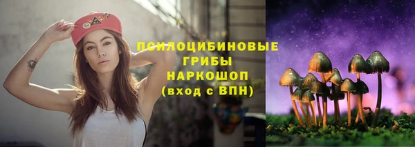 дурь Абинск