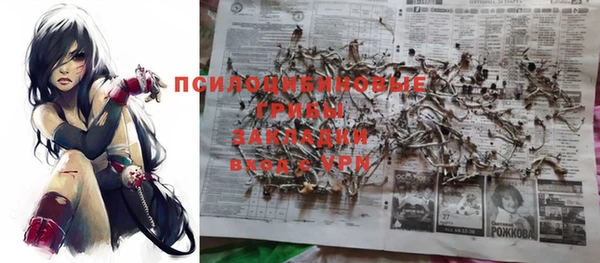 дурь Абинск
