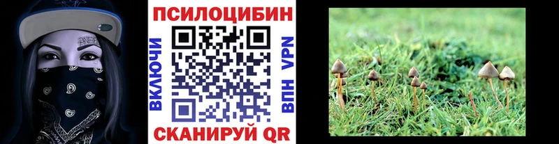 Псилоцибиновые грибы Psilocybine cubensis  Чишмы 